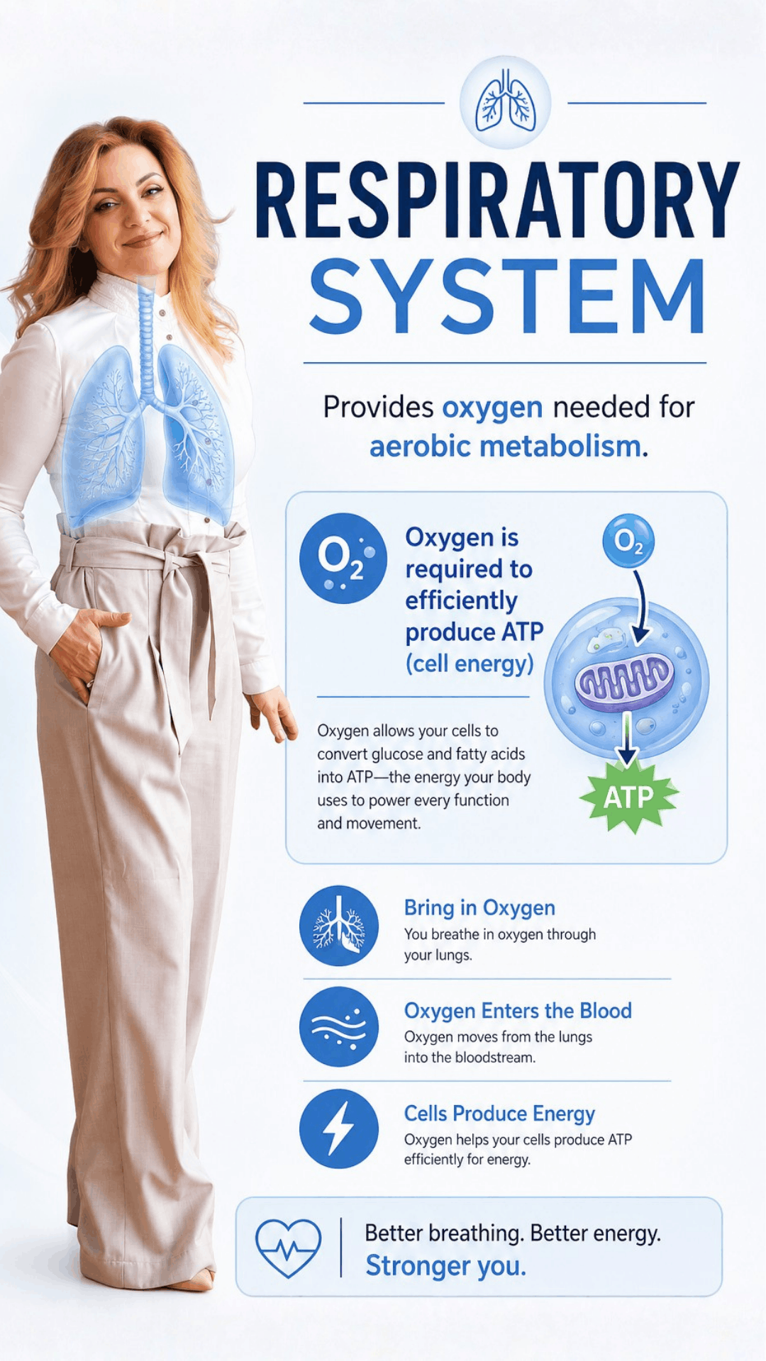 Respiratory System Infographic for Oxygen and Energy
